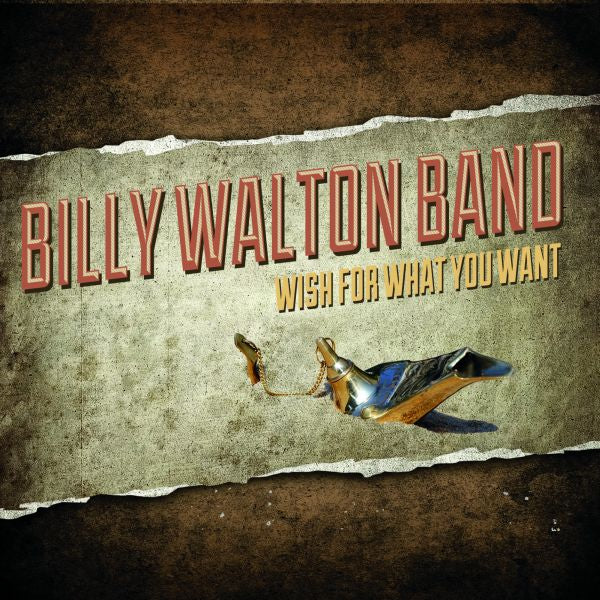 Wish For What You Want (CD)