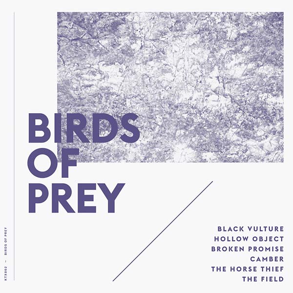 Birds of Prey (Vinyl)
