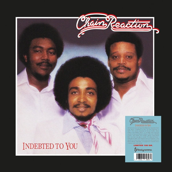 Indebted To You (Vinyl)