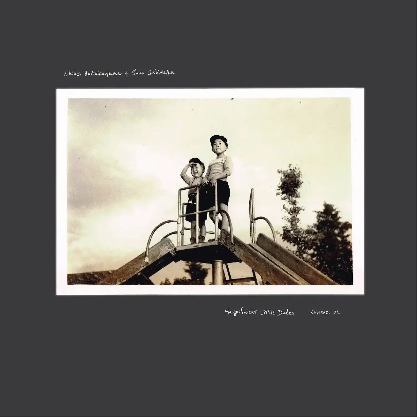 Magnificent Little Dudes Vol.1 (Vinyl)