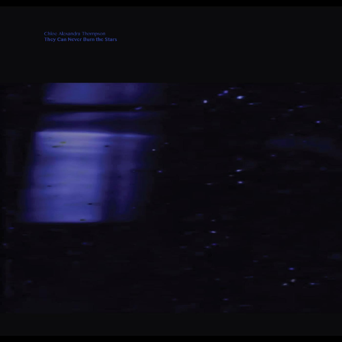 They Will Never Burn The Stars (Vinyl)