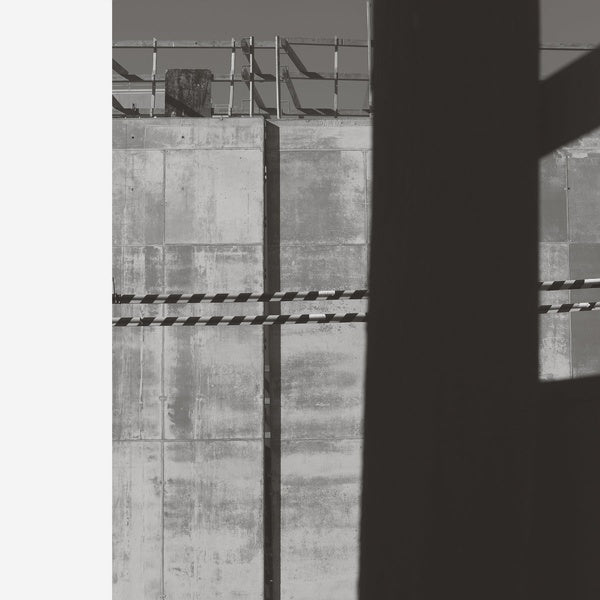 Follower (Vinyl)