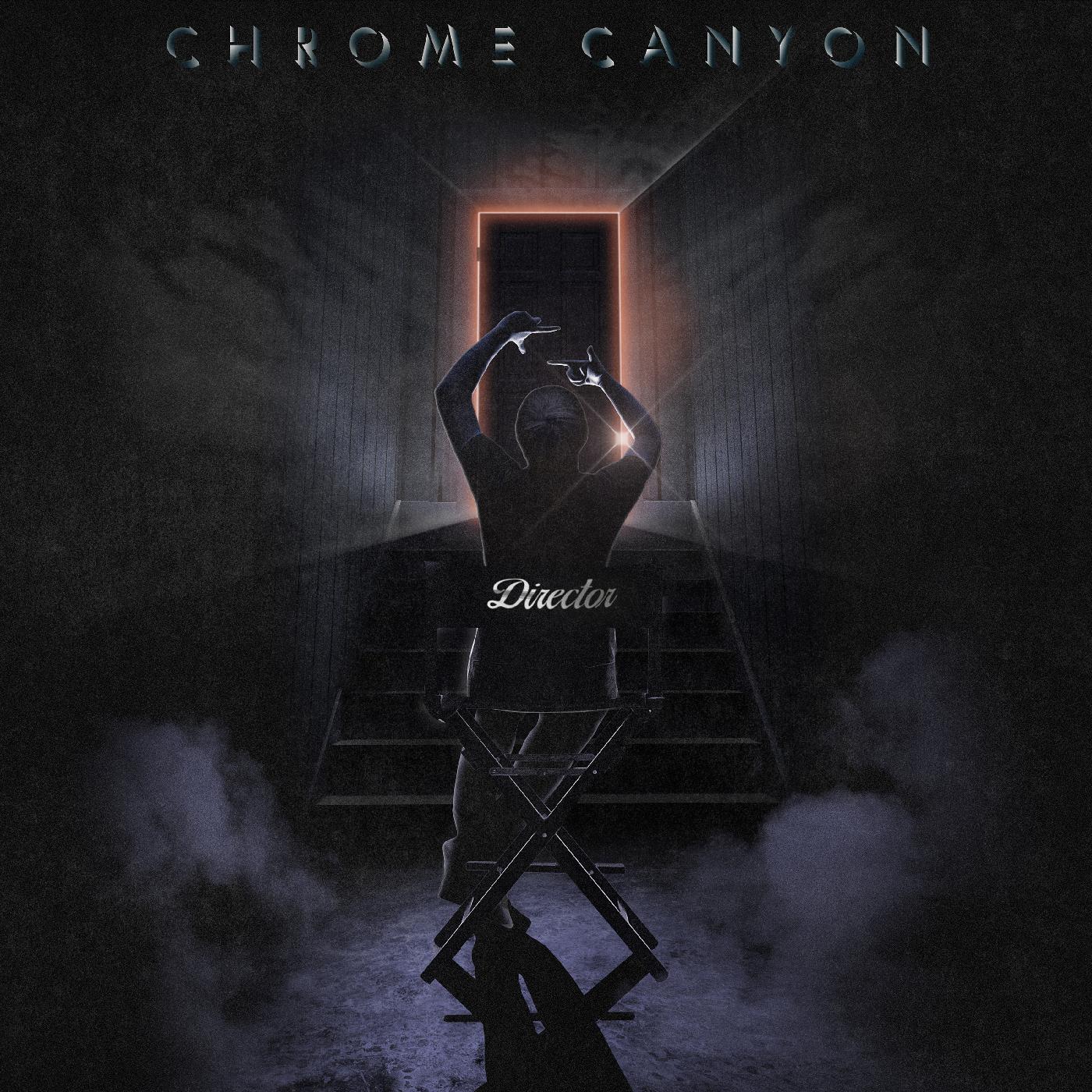 Director (Vinyl)