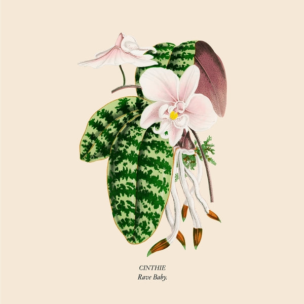 Rave Baby (Vinyl)