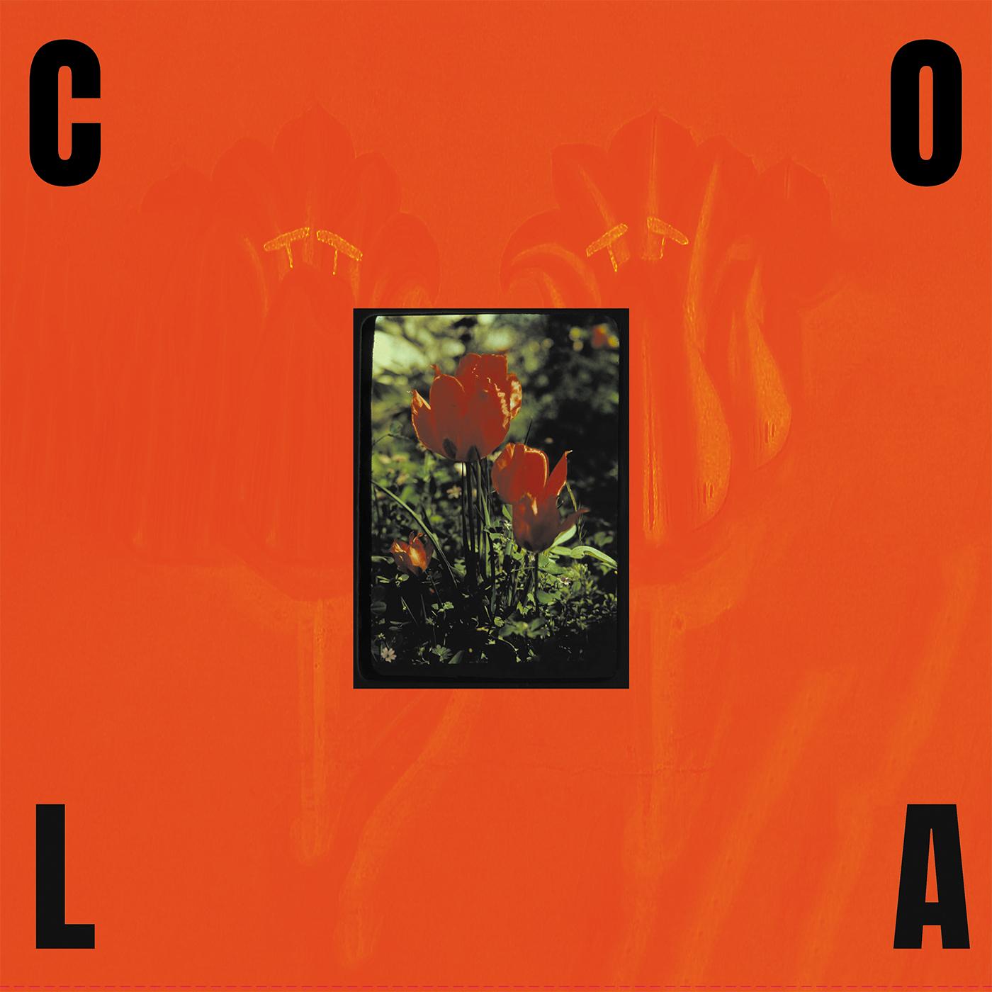 The Gloss (Black In Orange Vinyl) (Vinyl)