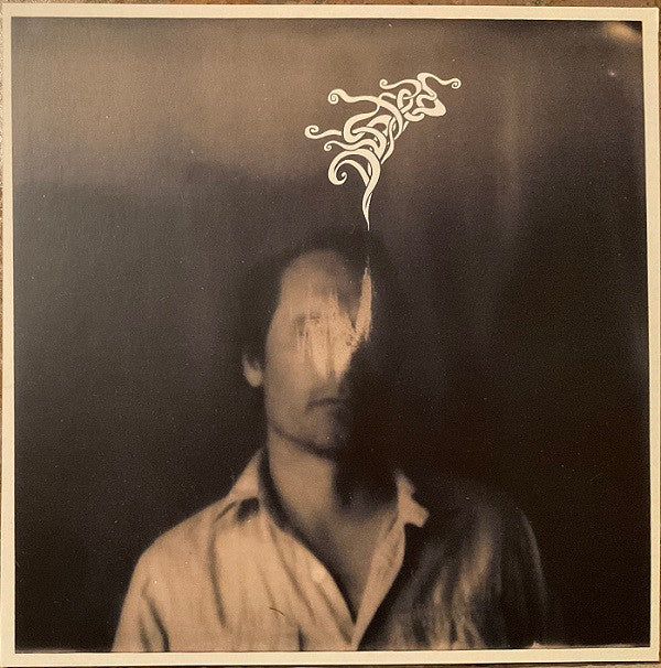 Dusted - Iii - LP Vinyl - Golden Apple Comics