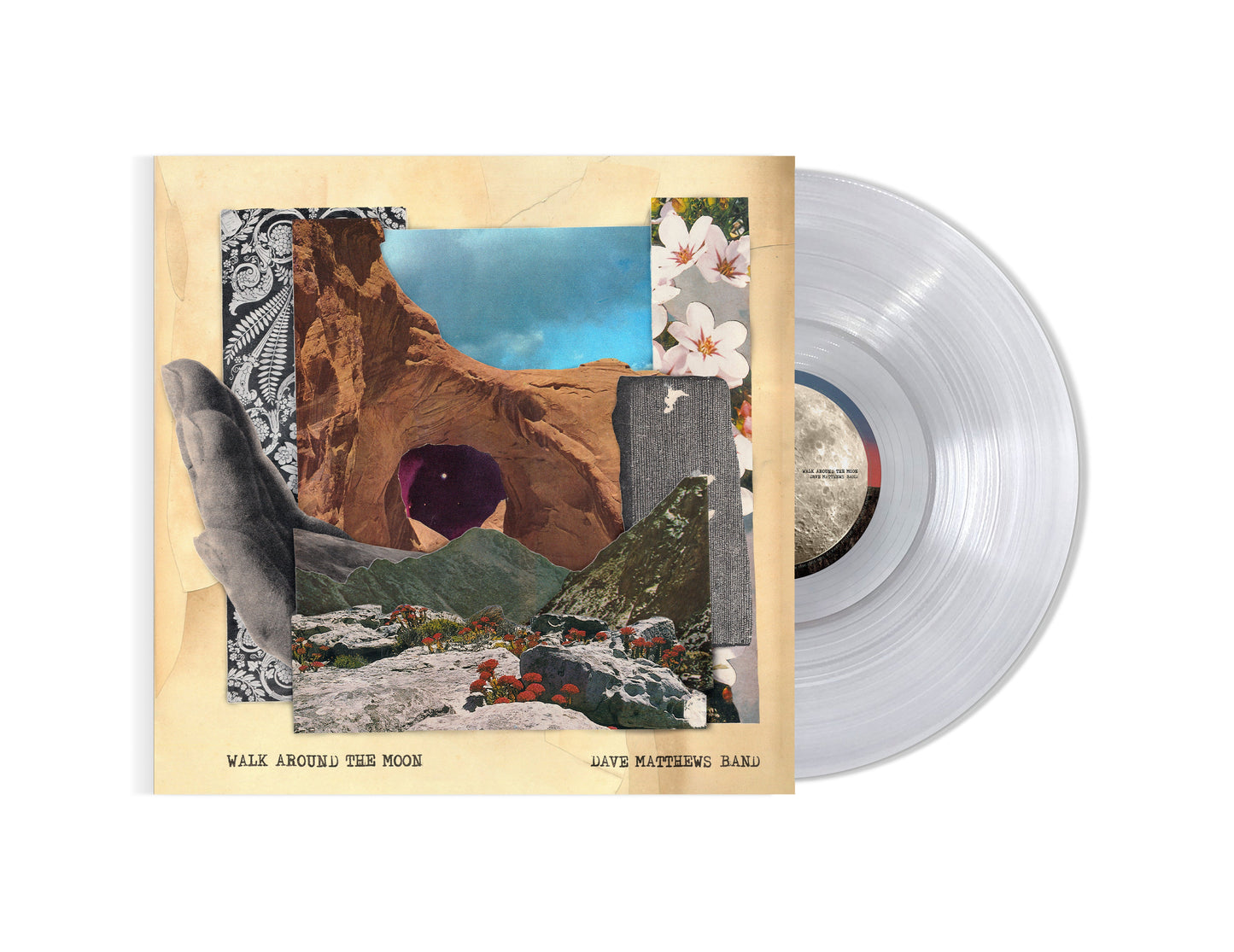 Walk Around The Moon (Clear Vinyl, Indie Exclusive) (Vinyl)
