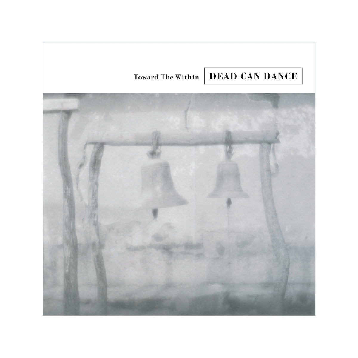 Toward The Within (Vinyl)