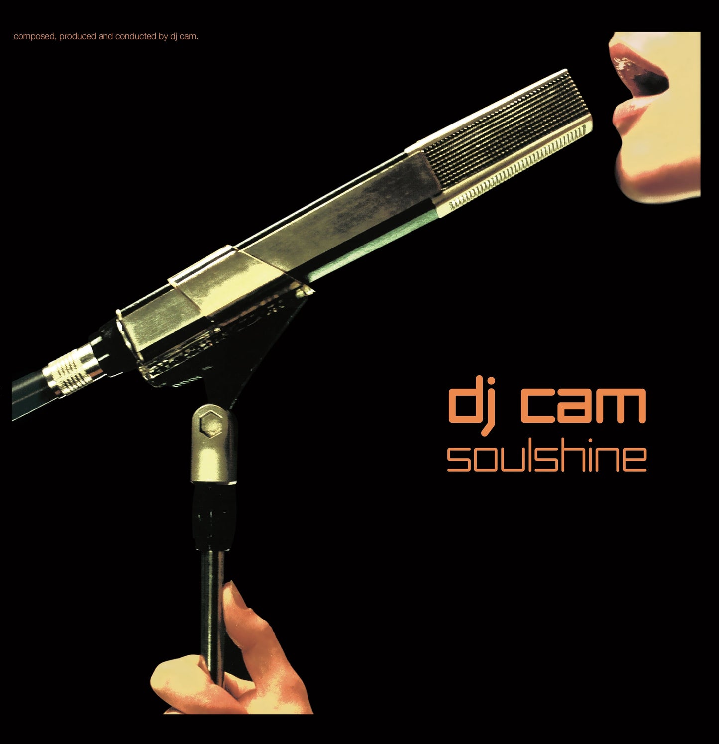 Soulshine (Vinyl)
