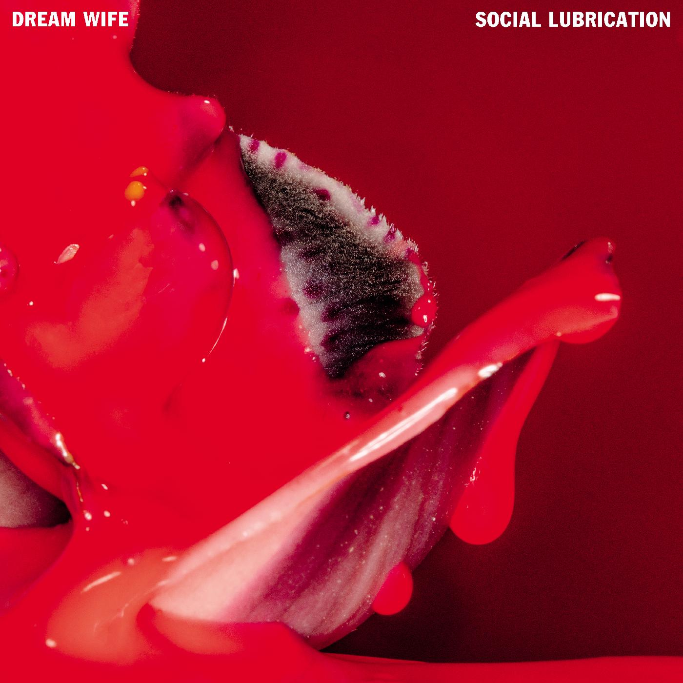 Social Lubrication (DEEP RED VINYL) (Vinyl)