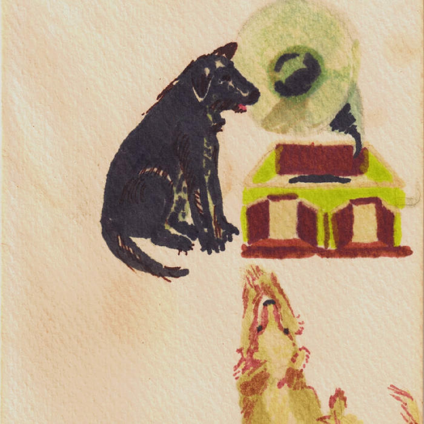 Lucky Dog (Vinyl)