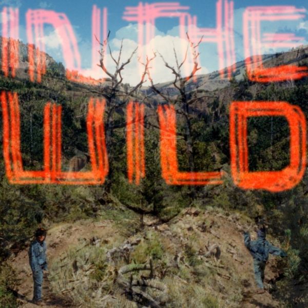 In The Wild (Vinyl)