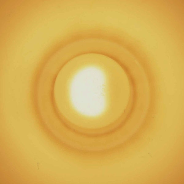 Monstersol (Vinyl)