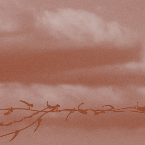 Double Bind (CD)