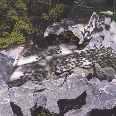 Filtered Water (Vinyl)
