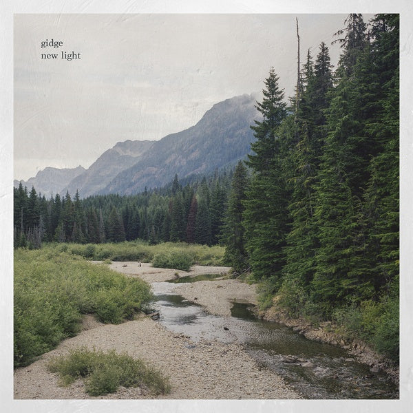 New Light (Vinyl)