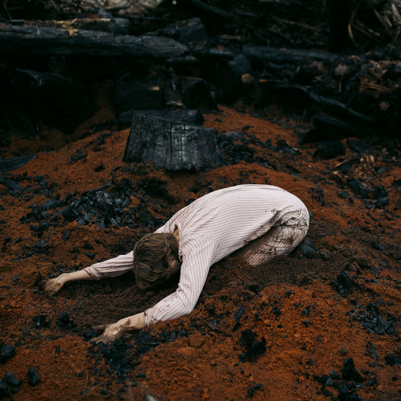 Keeper Of The Shepherd (Birch White Vinyl) (Vinyl)