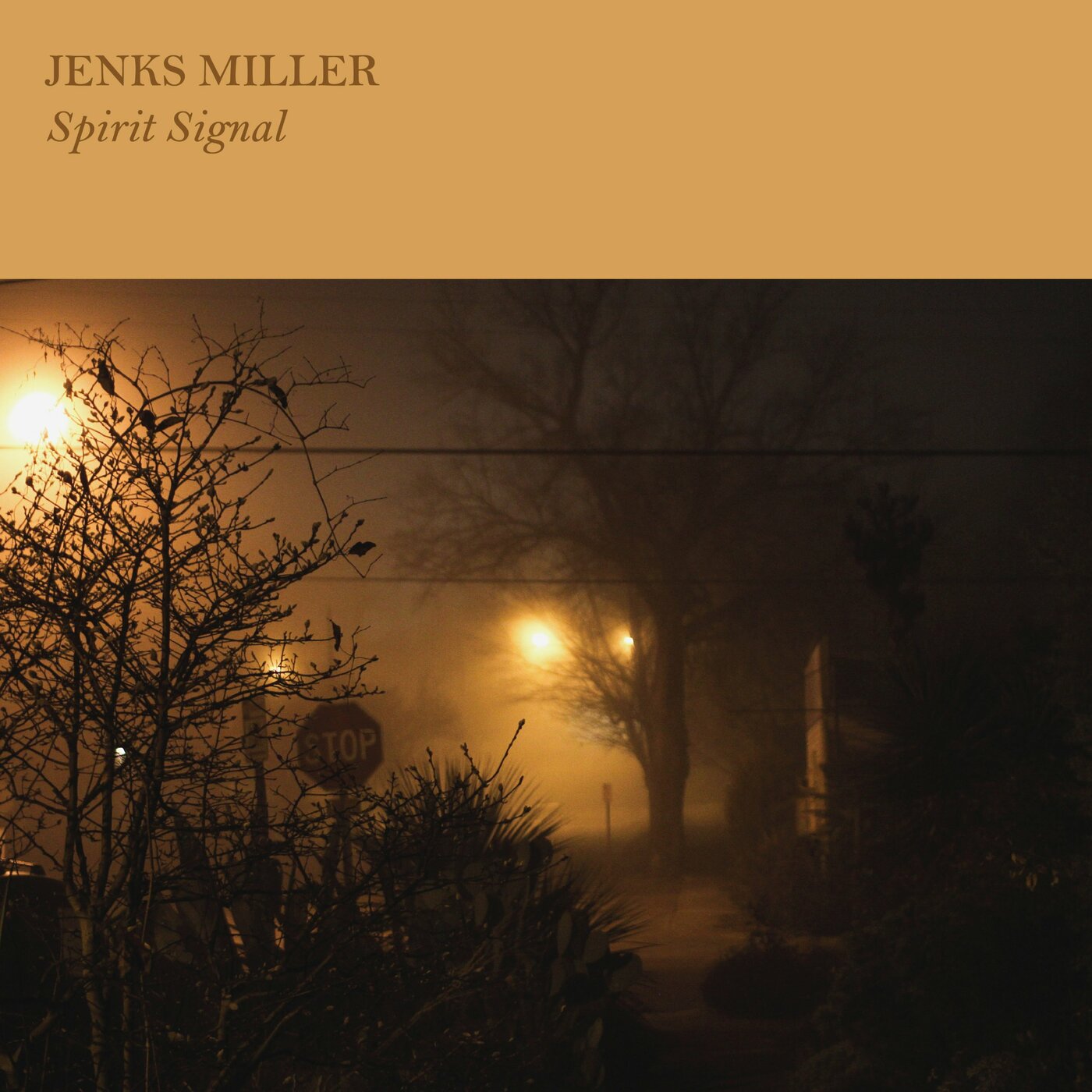 Spirit Signal (Vinyl)