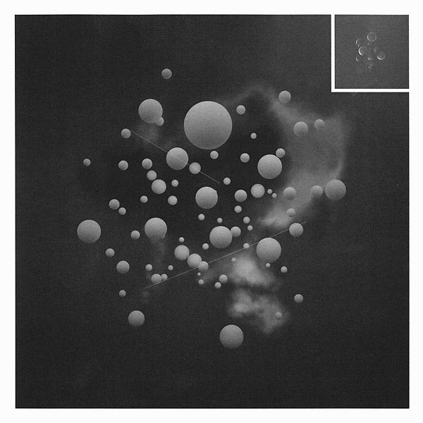 Das Fest Der Reichen (Vinyl)