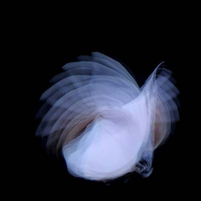 Feathermagnetik (CD)