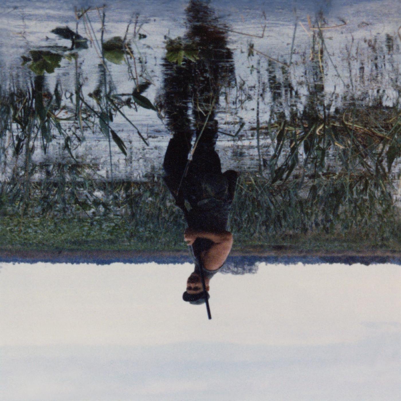 Animal Drowning (GRAY CASSETTE)