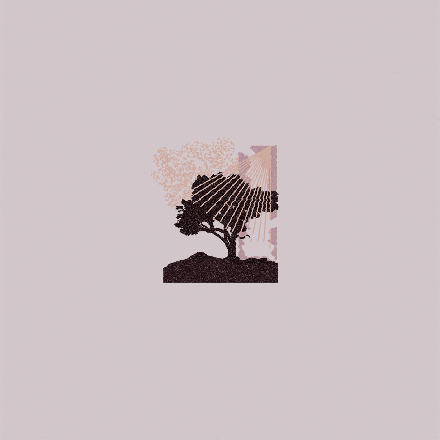 Performances (ECOMIX VINYL) (Vinyl)