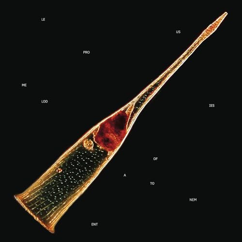 Melodies Of Atonement (CD)