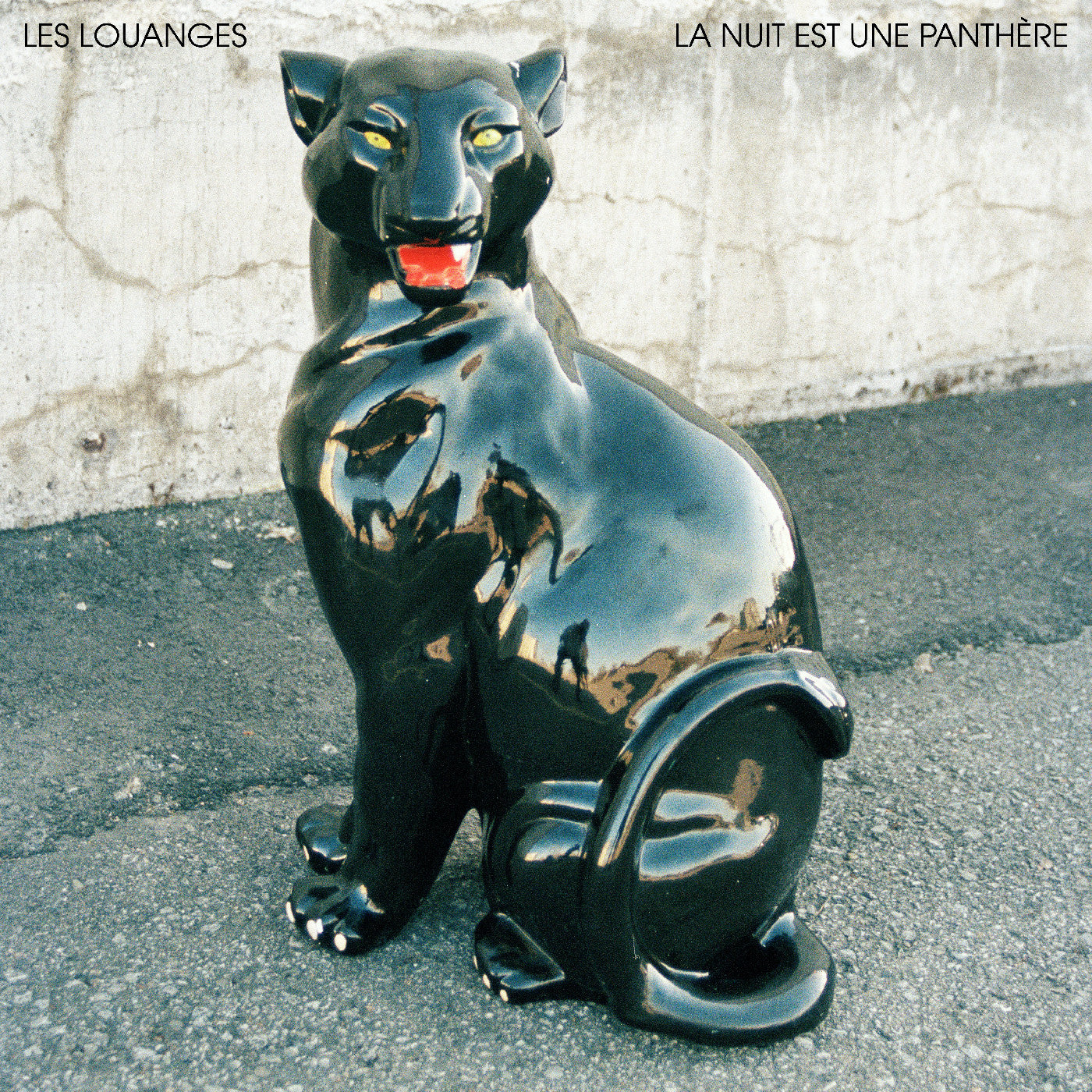 La Nuit Est Une Panthère (Vinyl)