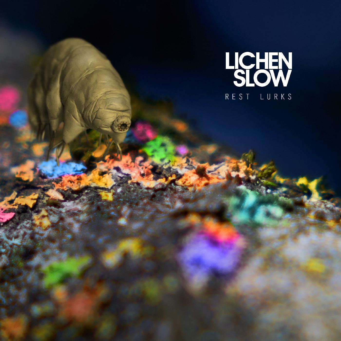 Rest Lurks (CD)