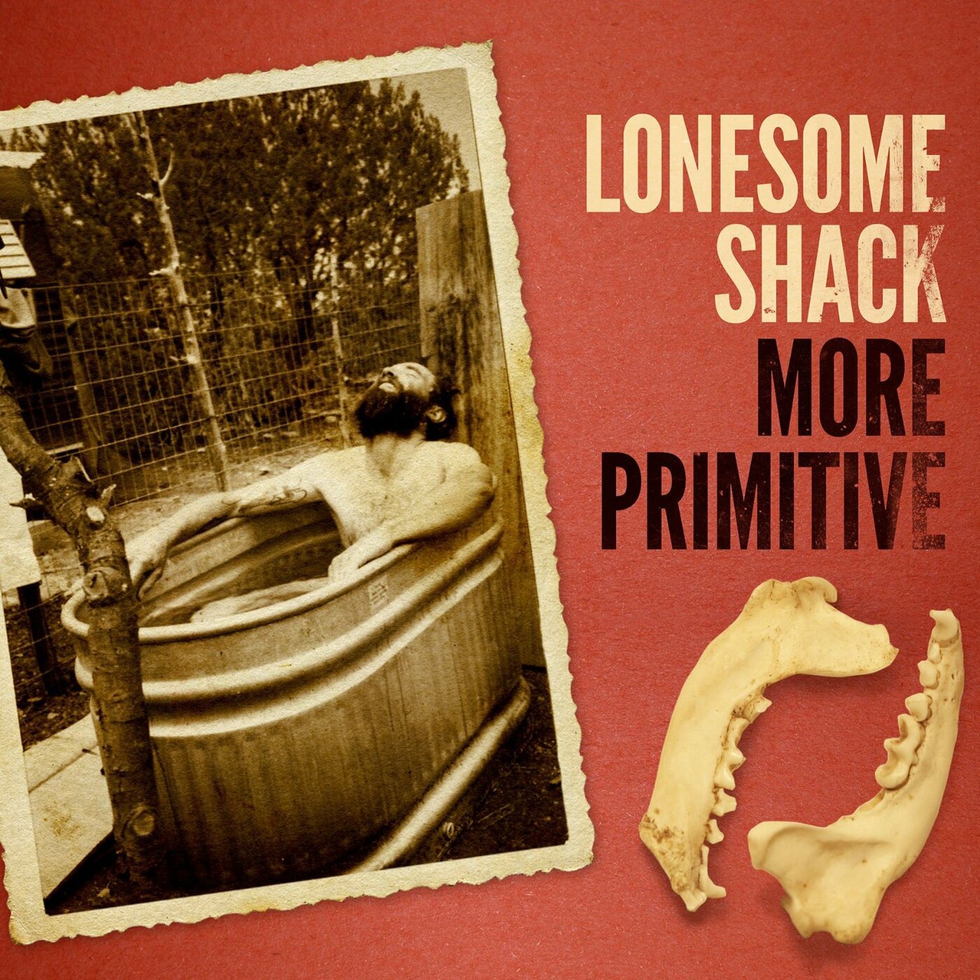 More Primitive (Vinyl)
