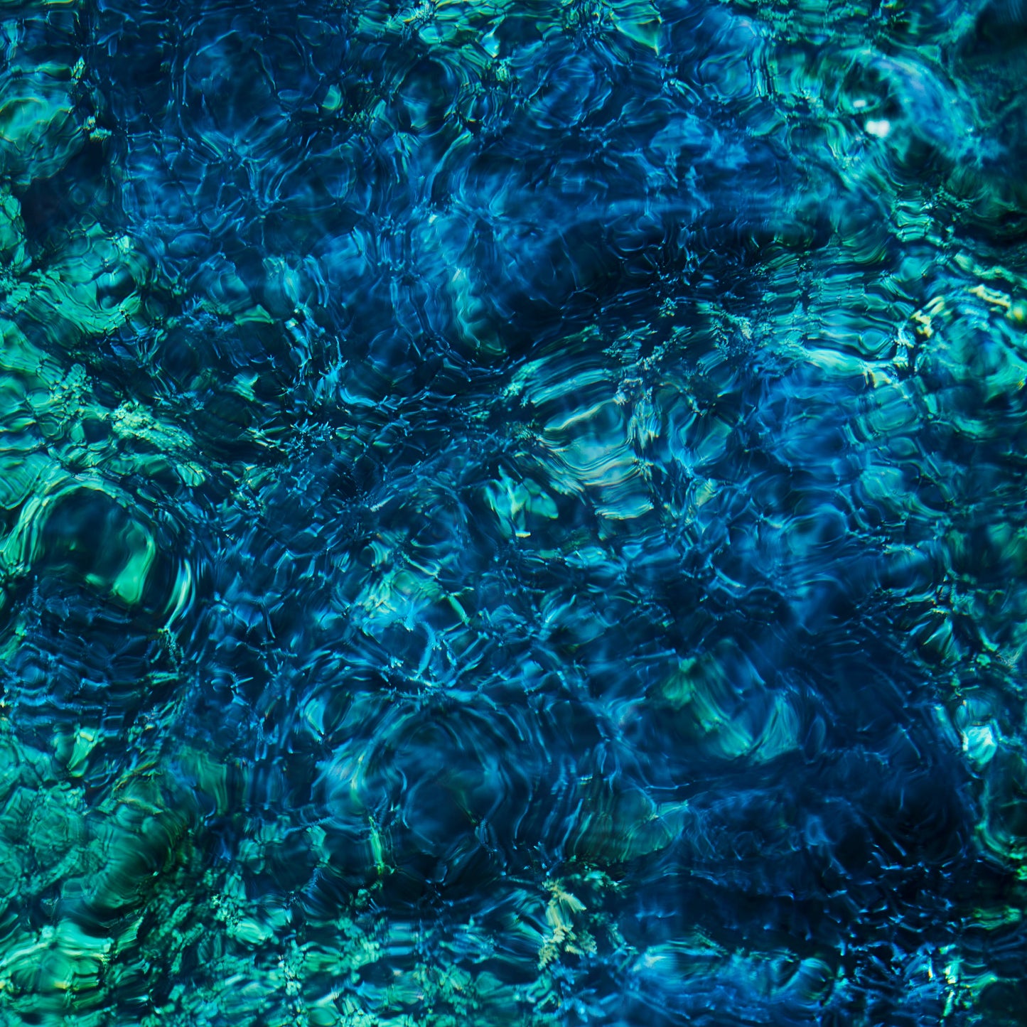 Luminescent Creatures (Vinyl)