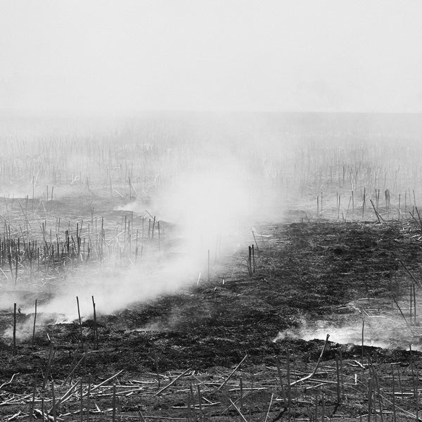 Empty, Expanding, Collapsing (CD)