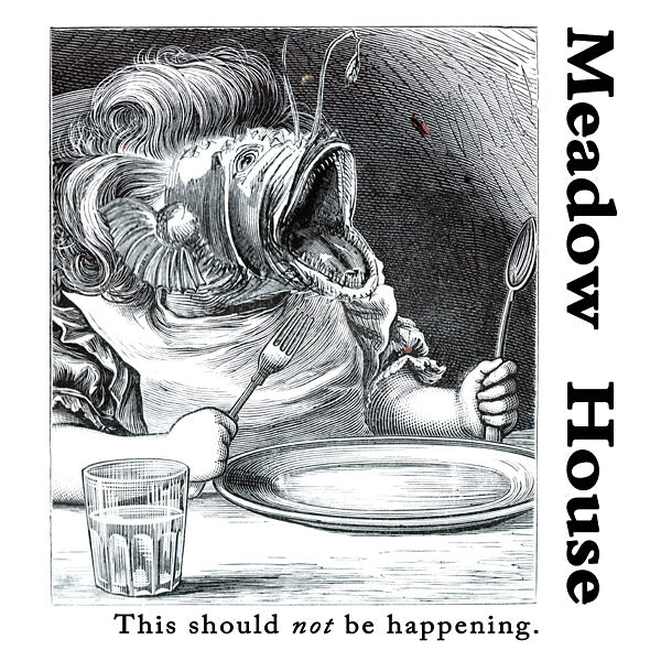 This Should Not Be Happening (Vinyl)