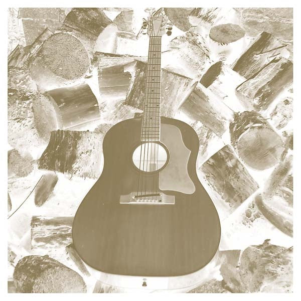 Solo Acoustic Volume Eleven - Homages (Vinyl)