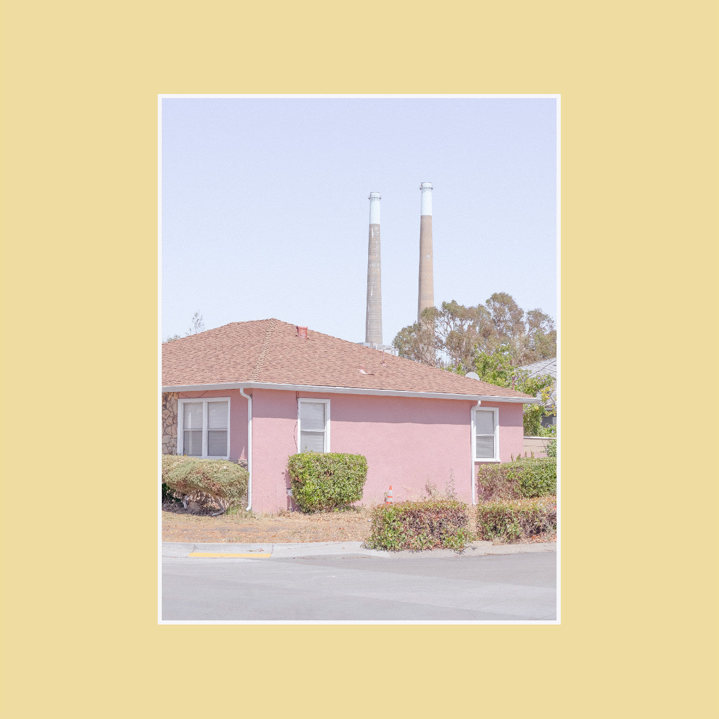The Tinnitus Chorus (Vinyl)
