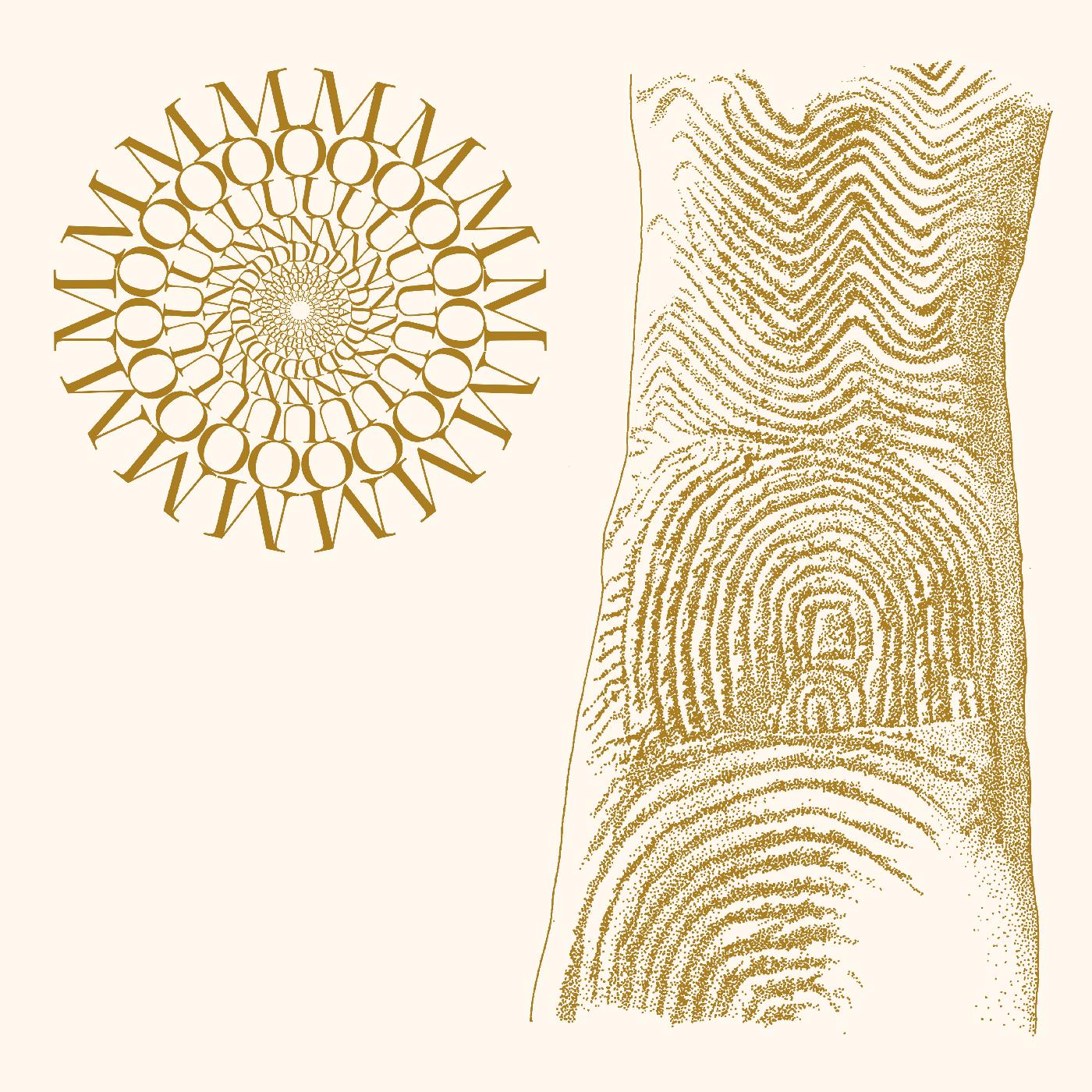 Flowers Rot, Bring Me Stones (BROWN & CLEAR SPECKLE VINYL) (Vinyl)