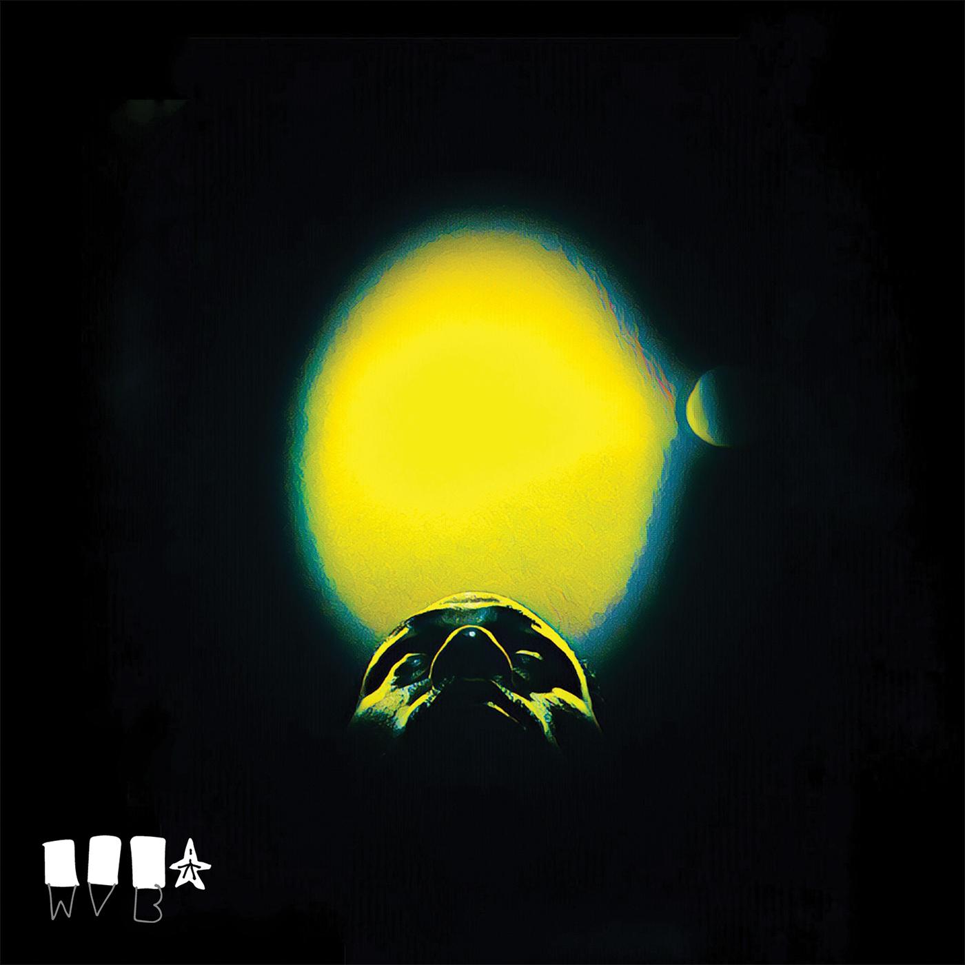 The Cycle (Clear Vinyl) (Vinyl)