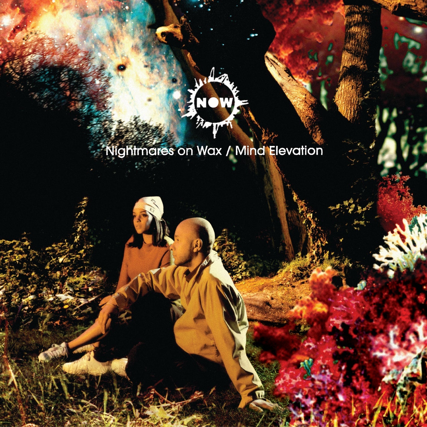 Mind Elevation (CD)