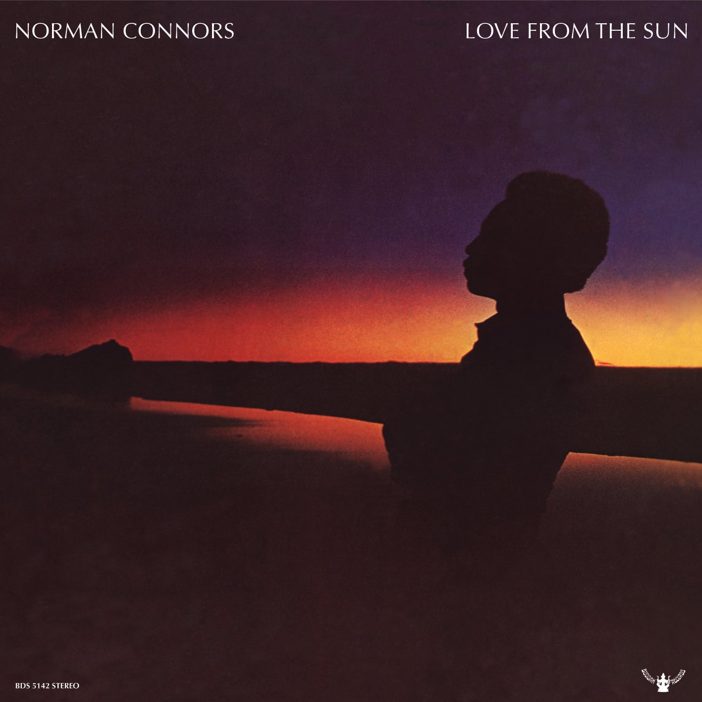 Love From The Sun (Vinyl)