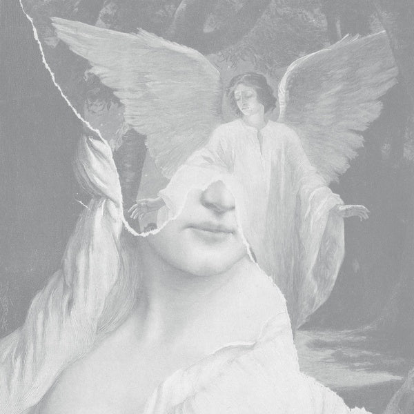Your Soft Absence (CD)
