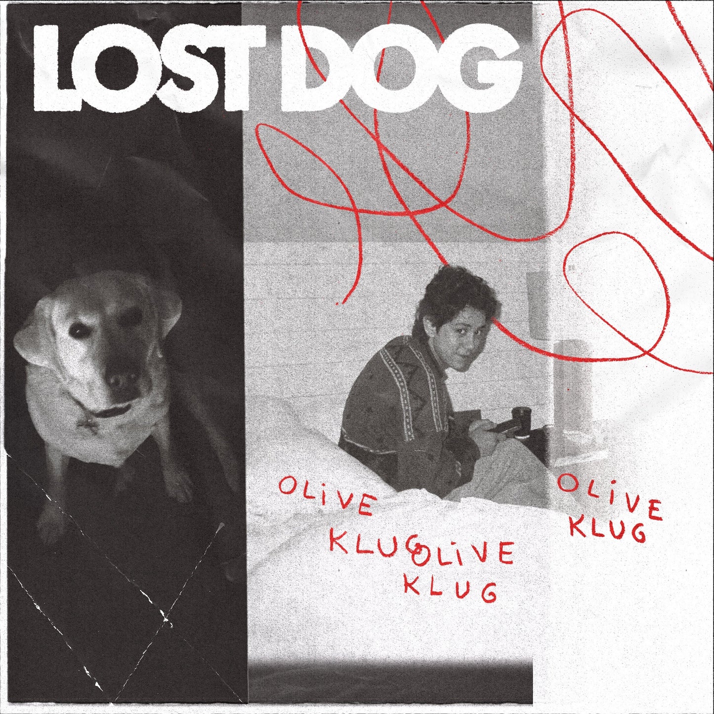 Lost Dog (Vinyl)