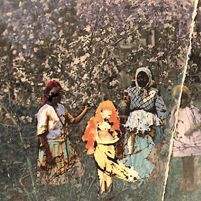 Laulu Laakson Kukista (CD) - Golden Apple Comics