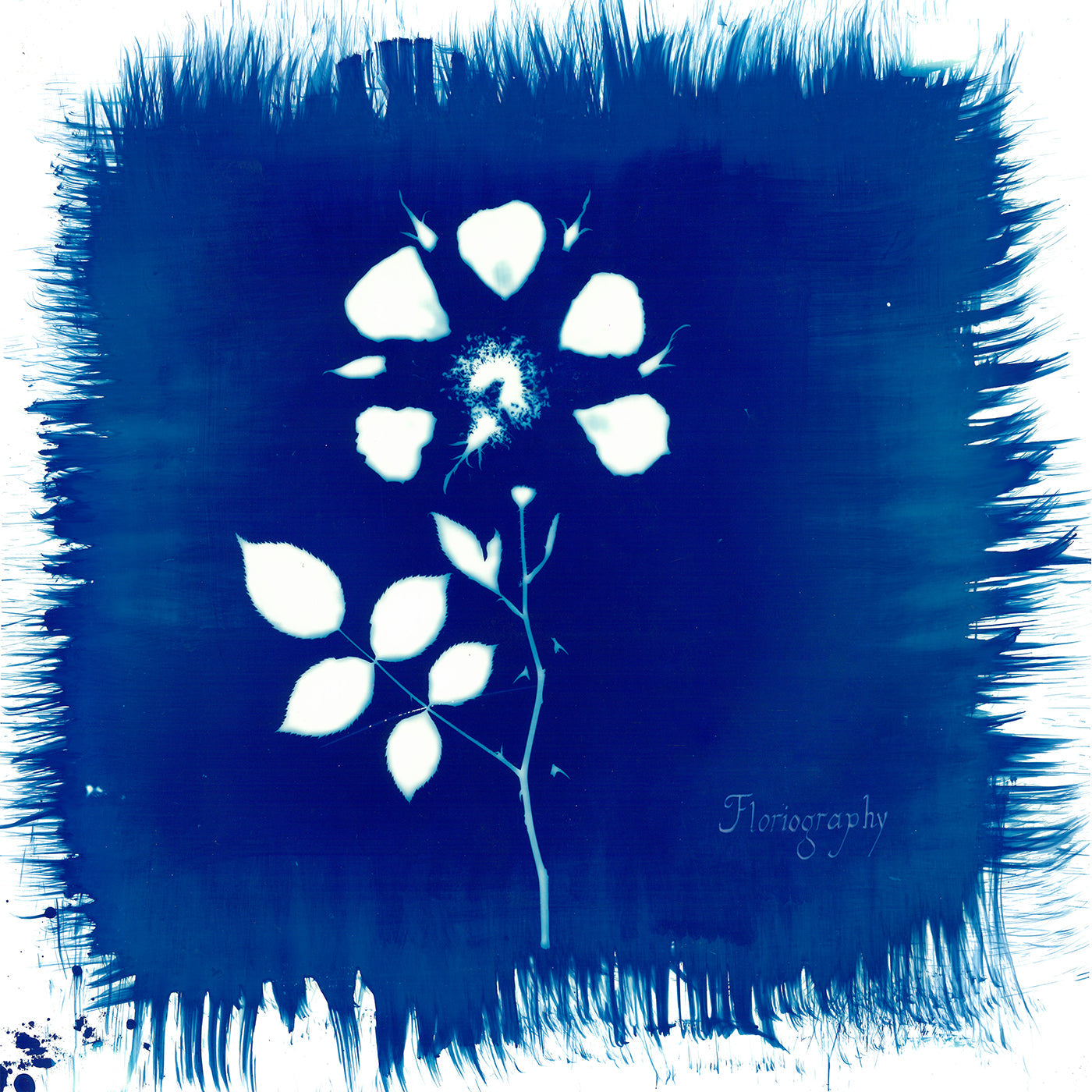 Floriography (CD)