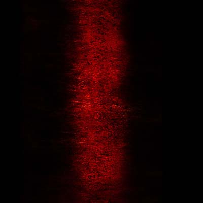 Rites (CD)