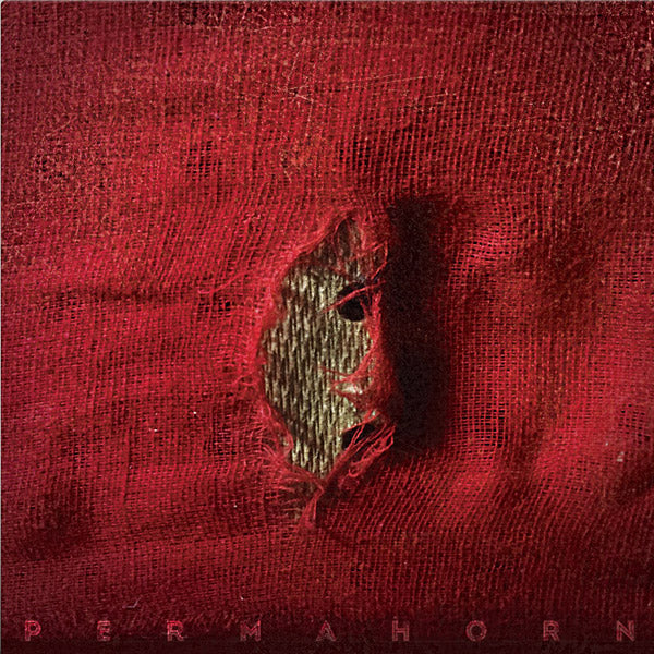 My Blood Carries My Dreams Away (Vinyl)
