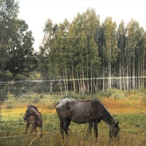 Old Pride (COLOR VINYL) (Vinyl)