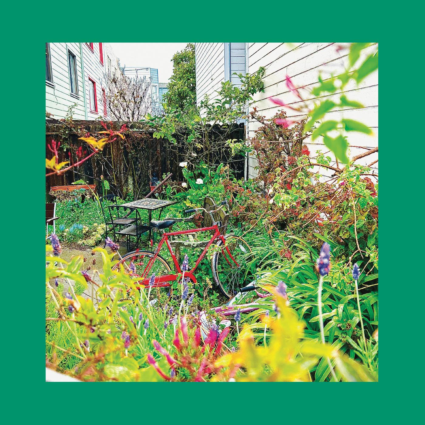 Unwishing Well (NASTURTIUM ORANGE VINYL) (Vinyl)