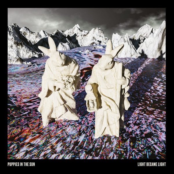 Light Became Light (Vinyl)