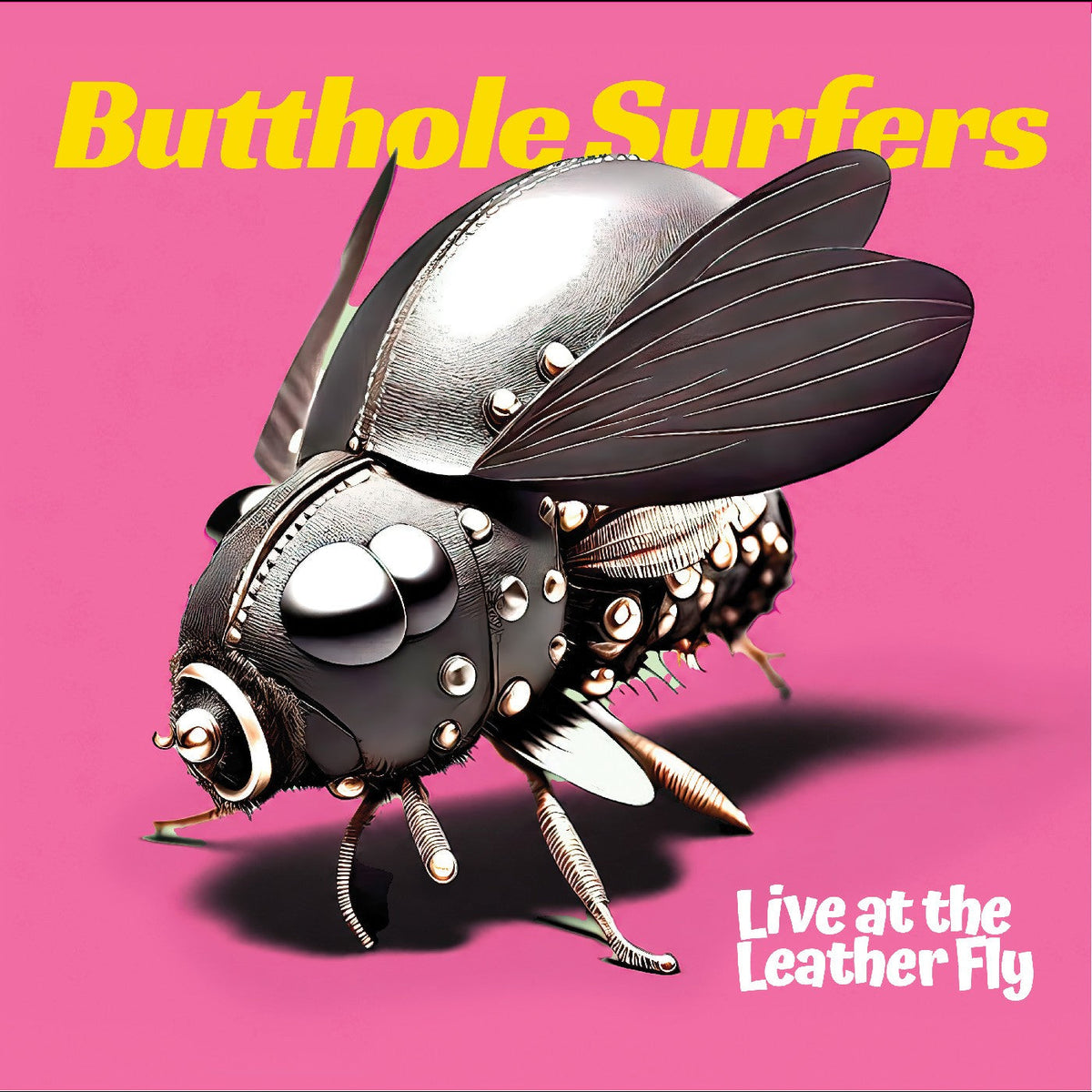 Live At The Leather Fly (CD) - Golden Apple Comics