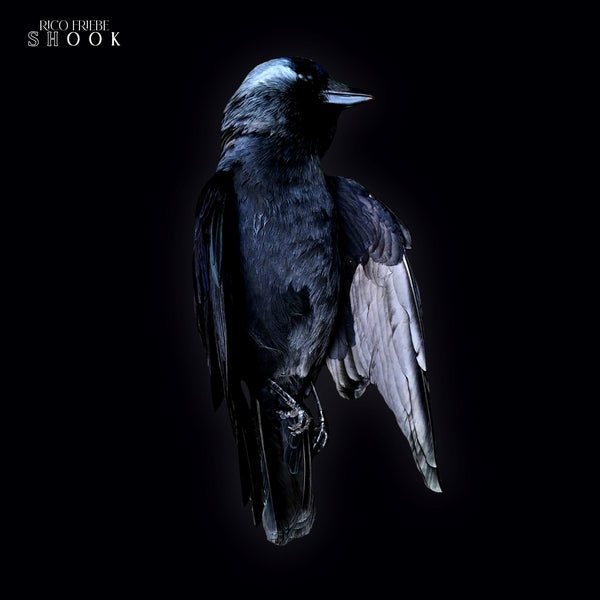 Shook (CD)